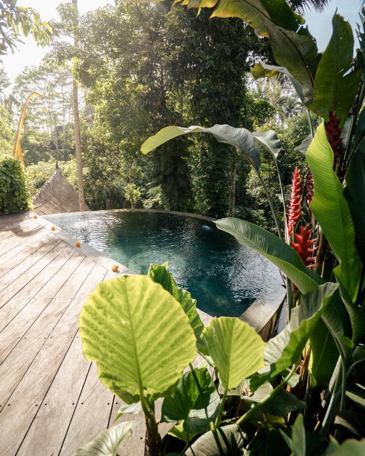 Basundari Retreat Ubud酒店 外观 照片