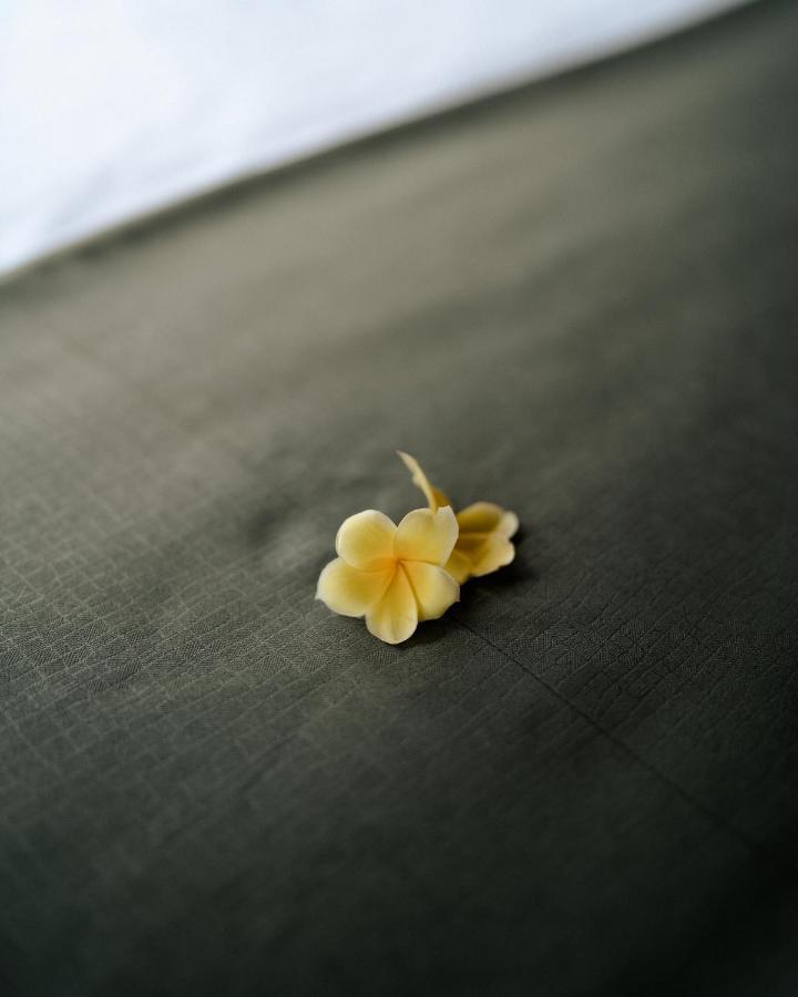 Basundari Retreat Ubud酒店 外观 照片