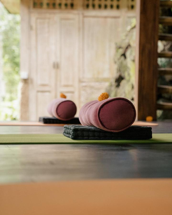 Basundari Retreat Ubud酒店 外观 照片